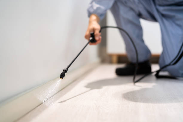 Licensed Rodent Control service in Wheeler County County, TX - Nex Pest Control